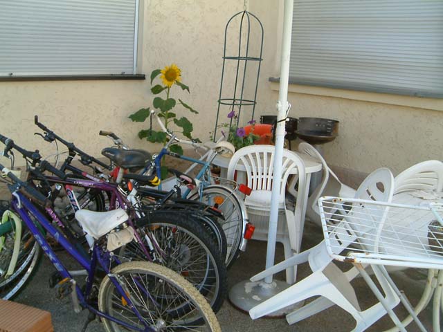 2006_07200011