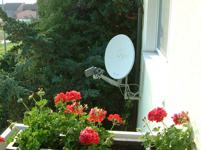2006_07200024