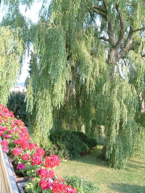 2006_07200026