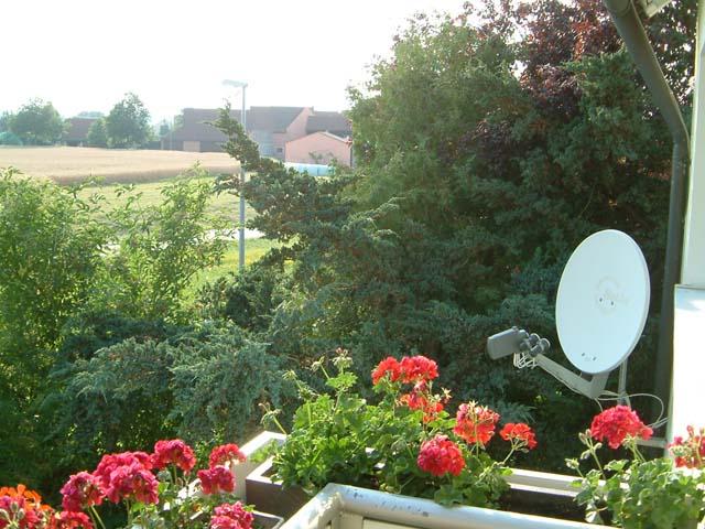 2006_07200028