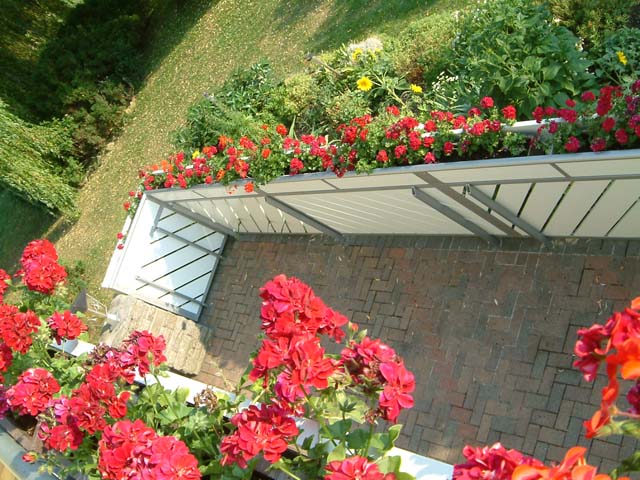 2006_07200029