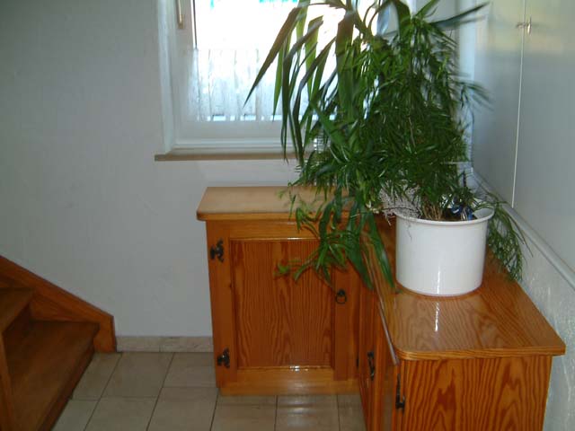 2006_07200032